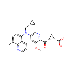 COc1cc(N(CC2CC2)c2ccc(C)c3ncccc23)cnc1C(=O)[C@@H]1C[C@@H]1C(=O)O ZINC001772605946