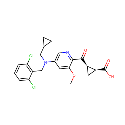 COc1cc(N(Cc2c(Cl)cccc2Cl)CC2CC2)cnc1C(=O)[C@@H]1C[C@@H]1C(=O)O ZINC001772653504