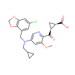 COc1cc(N(Cc2cc(Cl)cc3c2OCO3)CC2CC2)cnc1C(=O)[C@H]1C[C@H]1C(=O)O ZINC001772610552