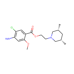 COc1cc(N)c(Cl)cc1C(=O)OCCN1C[C@@H](C)C[C@@H](C)C1 ZINC000003824992