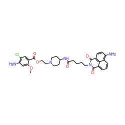 COc1cc(N)c(Cl)cc1C(=O)OCCN1CCC(NC(=O)CCCCN2C(=O)c3cccc4c(N)ccc(c34)C2=O)CC1 ZINC000044351451