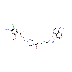 COc1cc(N)c(Cl)cc1C(=O)OCCN1CCN(C(=O)CCCCCNS(=O)(=O)c2cccc3c(N(C)C)cccc23)CC1 ZINC000026577668