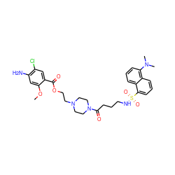 COc1cc(N)c(Cl)cc1C(=O)OCCN1CCN(C(=O)CCCNS(=O)(=O)c2cccc3c(N(C)C)cccc23)CC1 ZINC000026576900