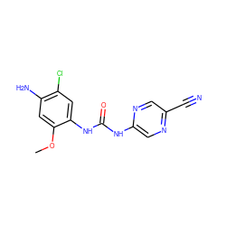 COc1cc(N)c(Cl)cc1NC(=O)Nc1cnc(C#N)cn1 ZINC000014956045