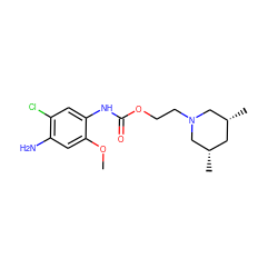 COc1cc(N)c(Cl)cc1NC(=O)OCCN1C[C@@H](C)C[C@@H](C)C1 ZINC000013762243