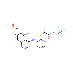 COc1cc(N=S(C)(C)=O)cc2ncnc(Nc3cccnc3O[C@H](C)C(=O)NCC(F)(F)F)c12 ZINC001772651685