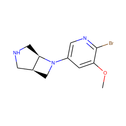COc1cc(N2C[C@H]3CNC[C@H]32)cnc1Br ZINC000028865994
