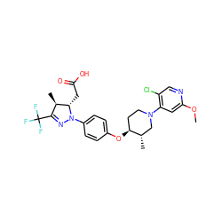 COc1cc(N2CC[C@H](Oc3ccc(N4N=C(C(F)(F)F)[C@@H](C)[C@@H]4CC(=O)O)cc3)[C@@H](C)C2)c(Cl)cn1 ZINC000219598667