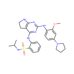 COc1cc(N2CCCC2)ccc1Nc1nc2c(c(Nc3ccccc3S(=O)(=O)NC(C)C)n1)CCN2 ZINC000221647620