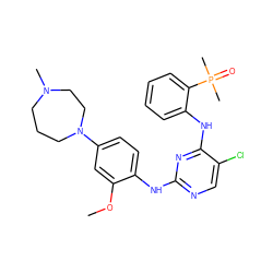 COc1cc(N2CCCN(C)CC2)ccc1Nc1ncc(Cl)c(Nc2ccccc2P(C)(C)=O)n1 ZINC000148753009