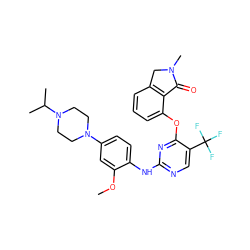 COc1cc(N2CCN(C(C)C)CC2)ccc1Nc1ncc(C(F)(F)F)c(Oc2cccc3c2C(=O)N(C)C3)n1 ZINC000146077915