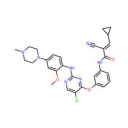 COc1cc(N2CCN(C)CC2)ccc1Nc1ncc(Cl)c(Oc2cccc(NC(=O)/C(C#N)=C/C3CC3)c2)n1 ZINC000299869407