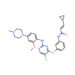 COc1cc(N2CCN(C)CC2)ccc1Nc1ncc(Cl)c(Oc2cccc(NC(=O)/C=C/C3CC3)c2)n1 ZINC000299864833