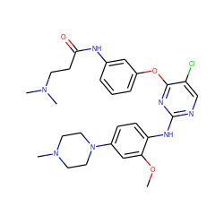 COc1cc(N2CCN(C)CC2)ccc1Nc1ncc(Cl)c(Oc2cccc(NC(=O)CCN(C)C)c2)n1 ZINC000169310607