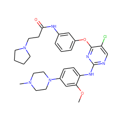 COc1cc(N2CCN(C)CC2)ccc1Nc1ncc(Cl)c(Oc2cccc(NC(=O)CCN3CCCC3)c2)n1 ZINC000169310611