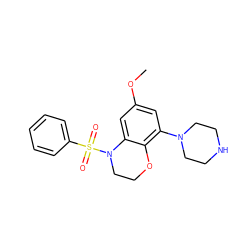 COc1cc(N2CCNCC2)c2c(c1)N(S(=O)(=O)c1ccccc1)CCO2 ZINC000028948480