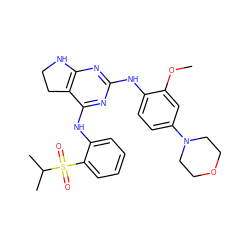 COc1cc(N2CCOCC2)ccc1Nc1nc2c(c(Nc3ccccc3S(=O)(=O)C(C)C)n1)CCN2 ZINC000221672726