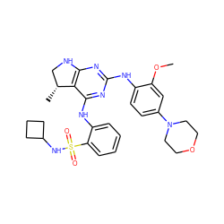 COc1cc(N2CCOCC2)ccc1Nc1nc2c(c(Nc3ccccc3S(=O)(=O)NC3CCC3)n1)[C@H](C)CN2 ZINC000199039867