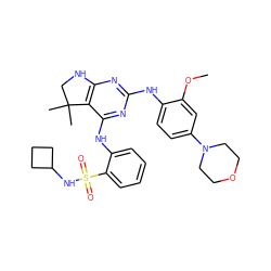 COc1cc(N2CCOCC2)ccc1Nc1nc2c(c(Nc3ccccc3S(=O)(=O)NC3CCC3)n1)C(C)(C)CN2 ZINC000199041182