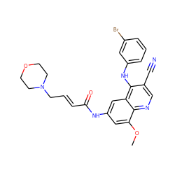 COc1cc(NC(=O)/C=C/CN2CCOCC2)cc2c(Nc3cccc(Br)c3)c(C#N)cnc12 ZINC000013492811