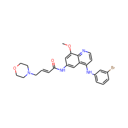 COc1cc(NC(=O)/C=C/CN2CCOCC2)cc2c(Nc3cccc(Br)c3)ccnc12 ZINC000040915005