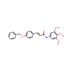 COc1cc(NC(=O)/C=C/c2ccc(OCc3ccccc3)cc2)cc(OC)c1OC ZINC000028309853