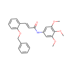 COc1cc(NC(=O)/C=C/c2ccccc2OCc2ccccc2)cc(OC)c1OC ZINC000169312378