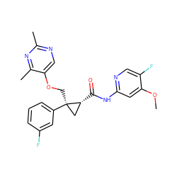 COc1cc(NC(=O)[C@@H]2C[C@@]2(COc2cnc(C)nc2C)c2cccc(F)c2)ncc1F ZINC000096283742