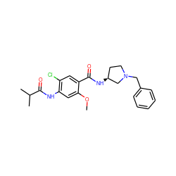 COc1cc(NC(=O)C(C)C)c(Cl)cc1C(=O)N[C@H]1CCN(Cc2ccccc2)C1 ZINC000013756895