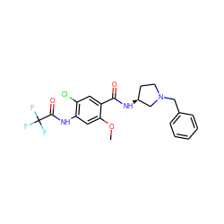 COc1cc(NC(=O)C(F)(F)F)c(Cl)cc1C(=O)N[C@H]1CCN(Cc2ccccc2)C1 ZINC000013756890