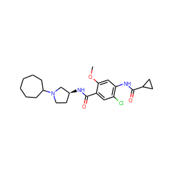 COc1cc(NC(=O)C2CC2)c(Cl)cc1C(=O)N[C@H]1CCN(C2CCCCCC2)C1 ZINC000013756911