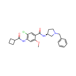 COc1cc(NC(=O)C2CCC2)c(Cl)cc1C(=O)N[C@H]1CCN(Cc2ccccc2)C1 ZINC000013756899