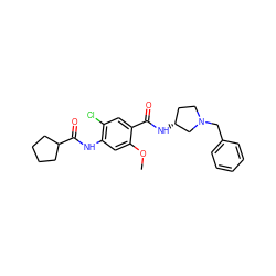 COc1cc(NC(=O)C2CCCC2)c(Cl)cc1C(=O)N[C@@H]1CCN(Cc2ccccc2)C1 ZINC000013756904