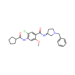 COc1cc(NC(=O)C2CCCC2)c(Cl)cc1C(=O)N[C@H]1CCN(Cc2ccccc2)C1 ZINC000013756903