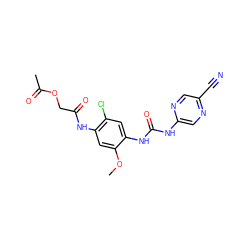 COc1cc(NC(=O)COC(C)=O)c(Cl)cc1NC(=O)Nc1cnc(C#N)cn1 ZINC000014956062