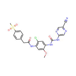 COc1cc(NC(=O)Cc2ccc(S(C)(=O)=O)cc2)c(Cl)cc1NC(=O)Nc1cnc(C#N)cn1 ZINC000014956138