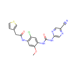 COc1cc(NC(=O)Cc2ccsc2)c(Cl)cc1NC(=O)Nc1cnc(C#N)cn1 ZINC000014956095