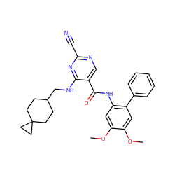 COc1cc(NC(=O)c2cnc(C#N)nc2NCC2CCC3(CC2)CC3)c(-c2ccccc2)cc1OC ZINC000040379576