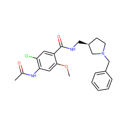 COc1cc(NC(C)=O)c(Cl)cc1C(=O)NC[C@H]1CCN(Cc2ccccc2)C1 ZINC000027895174