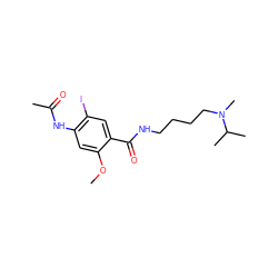 COc1cc(NC(C)=O)c(I)cc1C(=O)NCCCCN(C)C(C)C ZINC000028702482