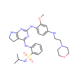 COc1cc(NCCN2CCOCC2)ccc1Nc1nc2c(c(Nc3ccccc3S(=O)(=O)NC(C)C)n1)CCN2 ZINC000221681199