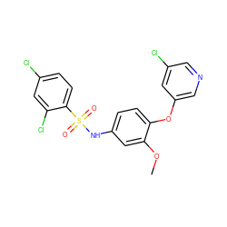 COc1cc(NS(=O)(=O)c2ccc(Cl)cc2Cl)ccc1Oc1cncc(Cl)c1 ZINC000095591707