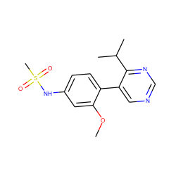 COc1cc(NS(C)(=O)=O)ccc1-c1cncnc1C(C)C ZINC000114027232