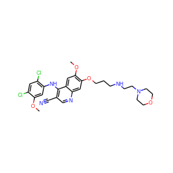 COc1cc(Nc2c(C#N)cnc3cc(OCCCNCCN4CCOCC4)c(OC)cc23)c(Cl)cc1Cl ZINC000023357821