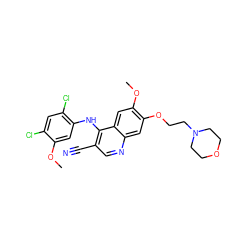 COc1cc(Nc2c(C#N)cnc3cc(OCCN4CCOCC4)c(OC)cc23)c(Cl)cc1Cl ZINC000013470117