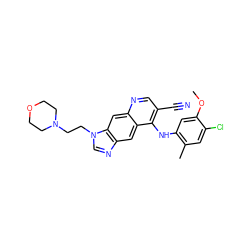 COc1cc(Nc2c(C#N)cnc3cc4c(cc23)ncn4CCN2CCOCC2)c(C)cc1Cl ZINC000013818547