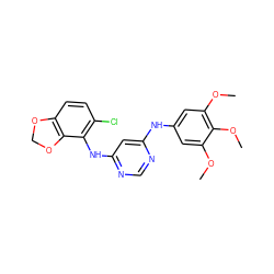 COc1cc(Nc2cc(Nc3c(Cl)ccc4c3OCO4)ncn2)cc(OC)c1OC ZINC000029042608