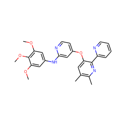 COc1cc(Nc2cc(Oc3cc(C)c(C)nc3-c3ccccn3)ccn2)cc(OC)c1OC ZINC000039001863