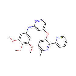 COc1cc(Nc2cc(Oc3ccc(C)nc3-c3ccccn3)ccn2)cc(OC)c1OC ZINC000045317558