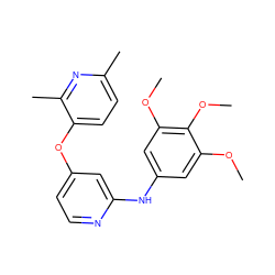 COc1cc(Nc2cc(Oc3ccc(C)nc3C)ccn2)cc(OC)c1OC ZINC000045285625